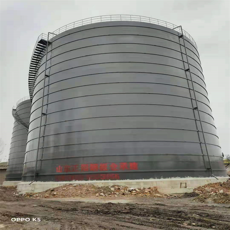 梓潼3万吨大型钢板库