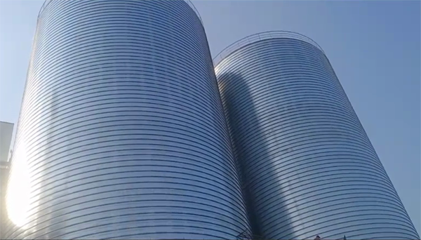 梓潼2座混凝土高架卷板仓